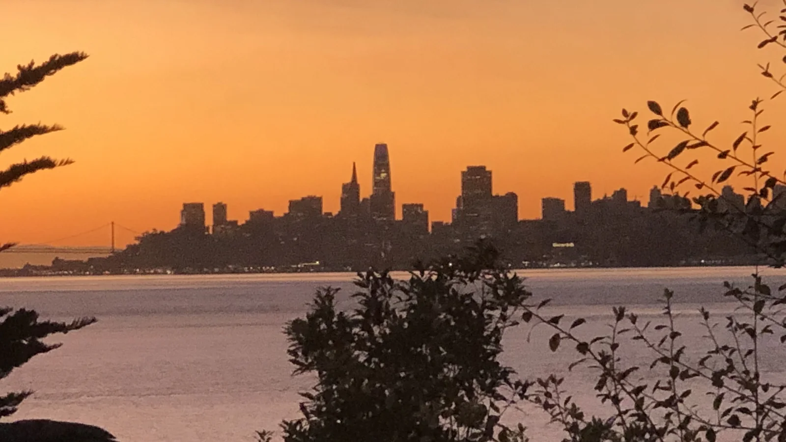 The San Francisco skyline at sunset across the bay, with the Transamerica Pyramid and Salesforce Tower.
